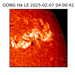 gong - 2025-02-07T04:00:42