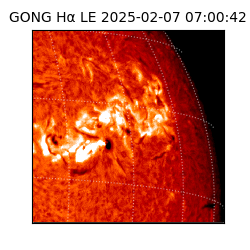 gong - 2025-02-07T07:00:42