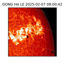 gong - 2025-02-07T08:00:42