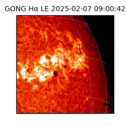 gong - 2025-02-07T09:00:42