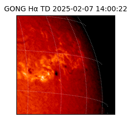gong - 2025-02-07T14:00:22