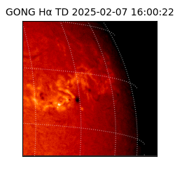 gong - 2025-02-07T16:00:22