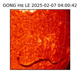 gong - 2025-02-07T04:00:42