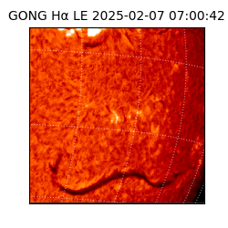 gong - 2025-02-07T07:00:42