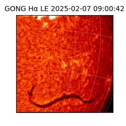 gong - 2025-02-07T09:00:42