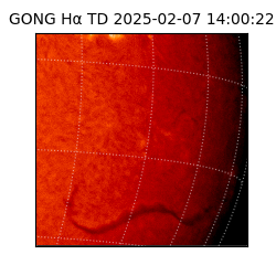 gong - 2025-02-07T14:00:22