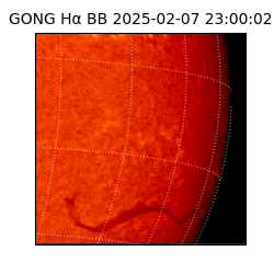 gong - 2025-02-07T23:00:02