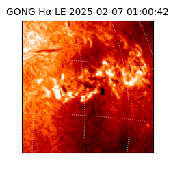 gong - 2025-02-07T01:00:42