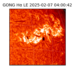 gong - 2025-02-07T04:00:42