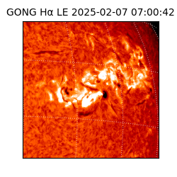 gong - 2025-02-07T07:00:42