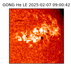 gong - 2025-02-07T09:00:42