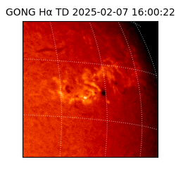gong - 2025-02-07T16:00:22
