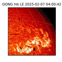 gong - 2025-02-07T04:00:42
