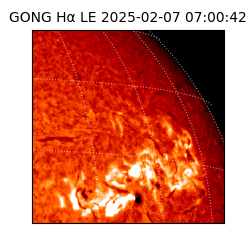 gong - 2025-02-07T07:00:42
