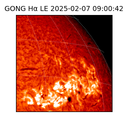 gong - 2025-02-07T09:00:42