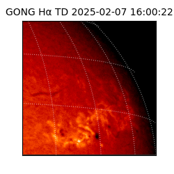 gong - 2025-02-07T16:00:22