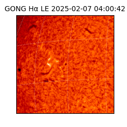 gong - 2025-02-07T04:00:42