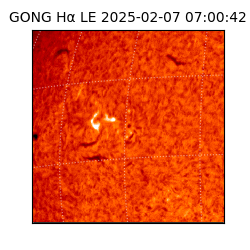 gong - 2025-02-07T07:00:42