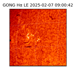 gong - 2025-02-07T09:00:42