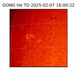 gong - 2025-02-07T16:00:22