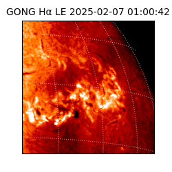 gong - 2025-02-07T01:00:42