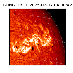 gong - 2025-02-07T04:00:42