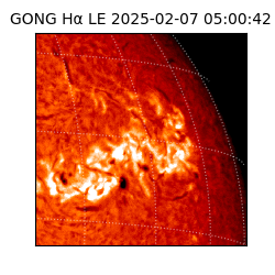 gong - 2025-02-07T05:00:42