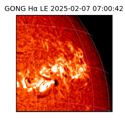 gong - 2025-02-07T07:00:42