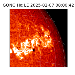 gong - 2025-02-07T08:00:42