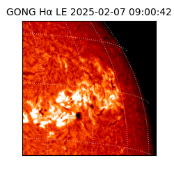 gong - 2025-02-07T09:00:42