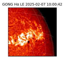 gong - 2025-02-07T10:00:42