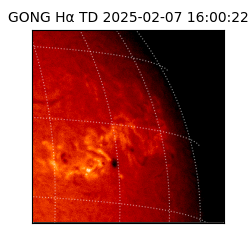 gong - 2025-02-07T16:00:22