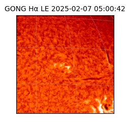 gong - 2025-02-07T05:00:42