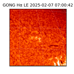 gong - 2025-02-07T07:00:42