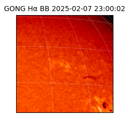 gong - 2025-02-07T23:00:02