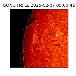 gong - 2025-02-07T05:00:42