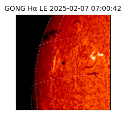 gong - 2025-02-07T07:00:42