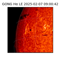 gong - 2025-02-07T09:00:42