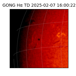 gong - 2025-02-07T16:00:22