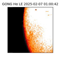 gong - 2025-02-07T01:00:42