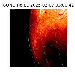 gong - 2025-02-07T03:00:42