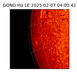 gong - 2025-02-07T04:00:42