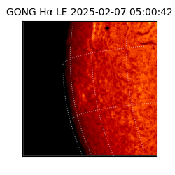 gong - 2025-02-07T05:00:42