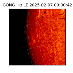 gong - 2025-02-07T09:00:42