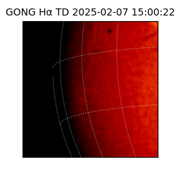gong - 2025-02-07T15:00:22