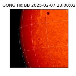 gong - 2025-02-07T23:00:02