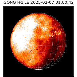 gong - 2025-02-07T01:00:42