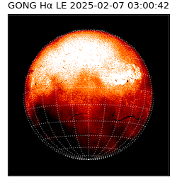 gong - 2025-02-07T03:00:42