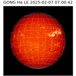 gong - 2025-02-07T07:00:42