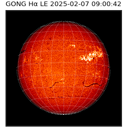 gong - 2025-02-07T09:00:42